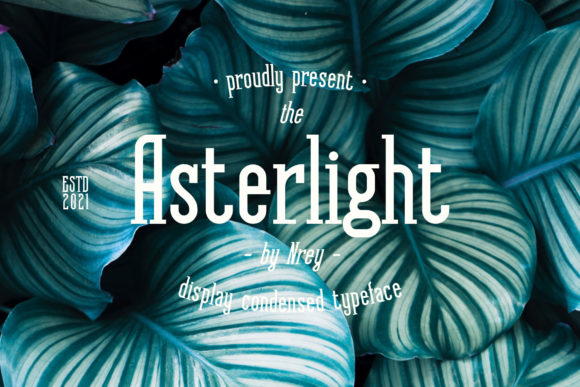 Asterlight Serif Font: Elevate Your Brand Identity