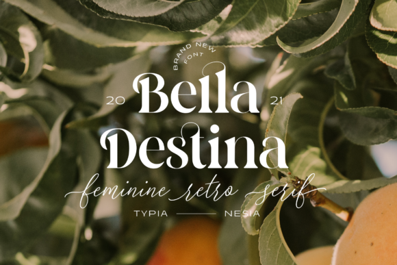 Bella Destina: A Bold Serif Font for Branding