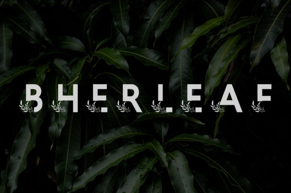 Bherleaf: A Bold Decorative Font for Modern Web Design