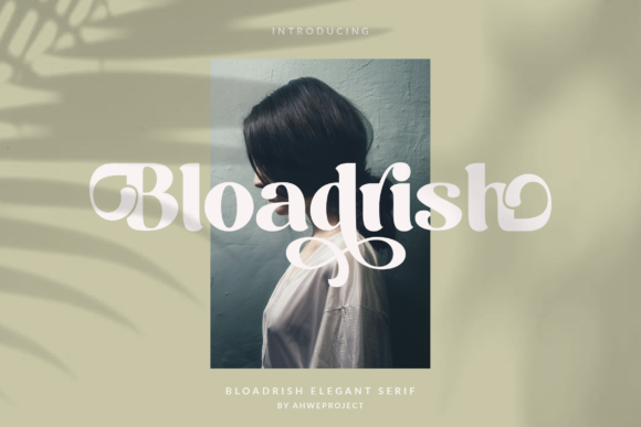 Bloadrish Serif Font: A Web Designer’s Review