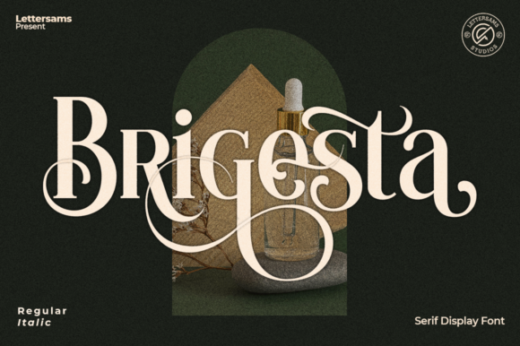 Brigesta Font Review for Campaign Design