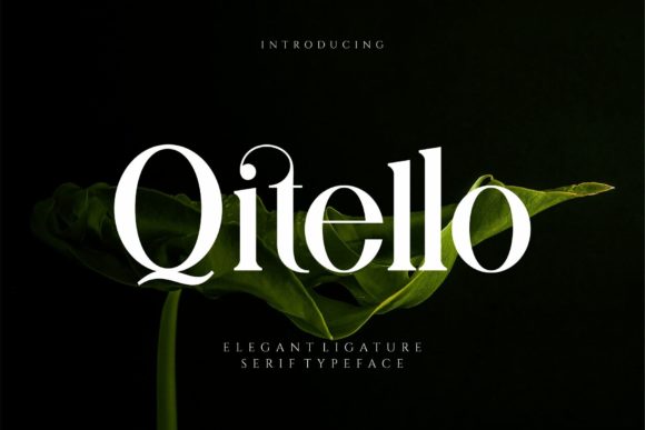 Qitello: A Bold Serif Font for Branding