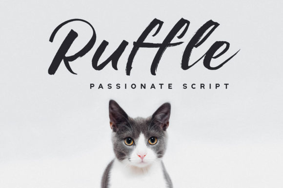 Ruffle Font Review: A Designer's Take on Script Amp's Latest